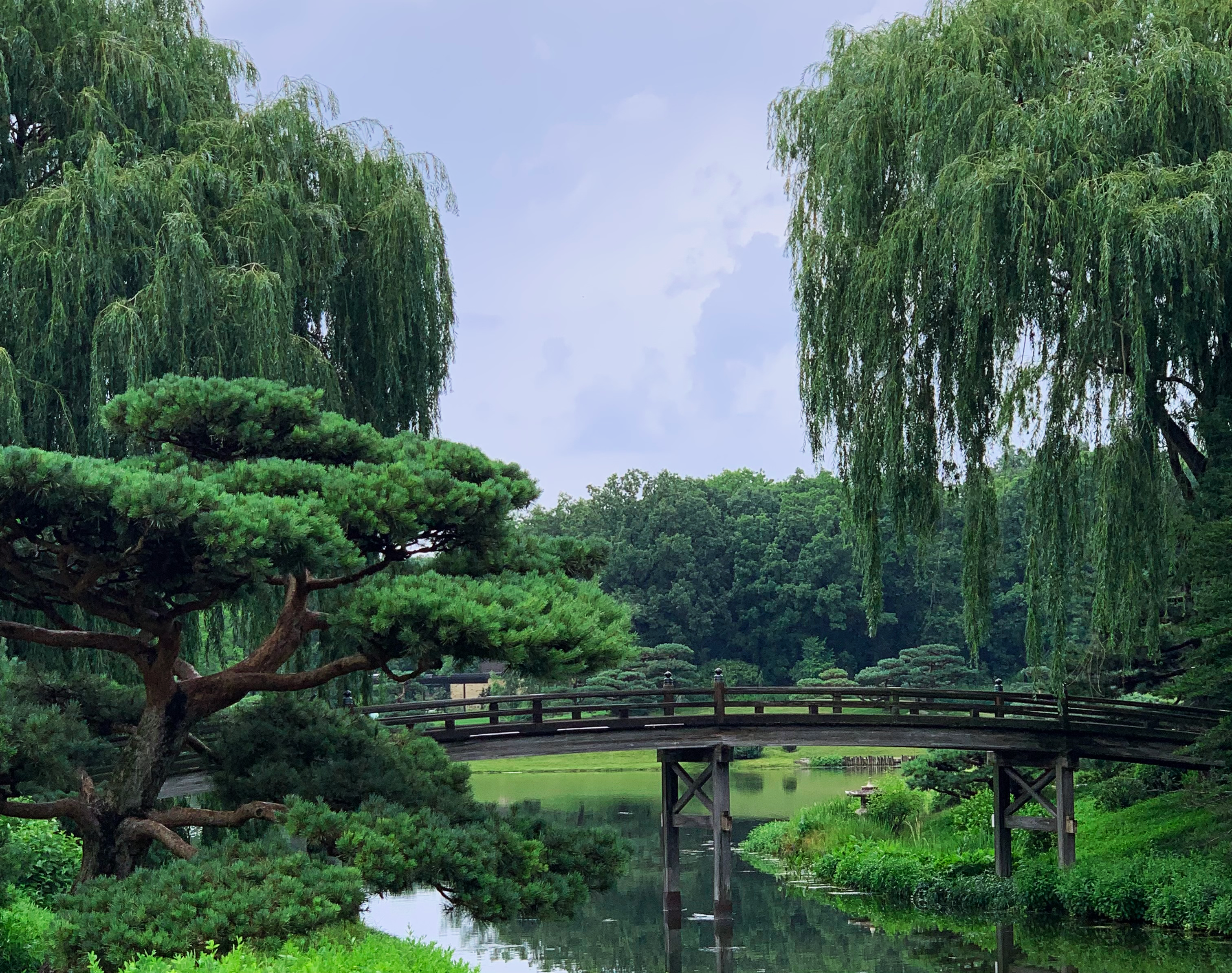 A picture of the Japanese Garden at the Chicago Botanic Garden